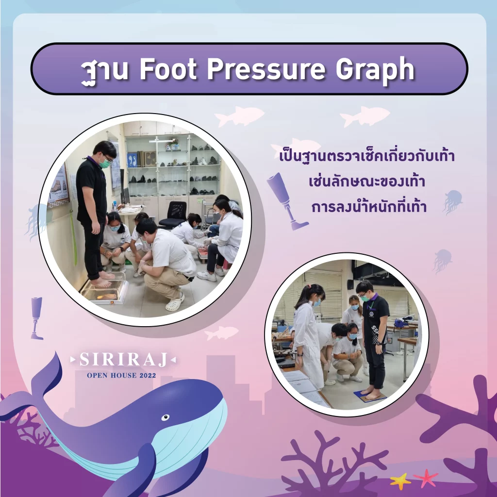 ฐาน Foot Pressure Graph - เป็นฐานตรวจเช็คเกี่ยวกับเท้า เช่นลักษณะของเท้า การลงน้ำหนักที่เท้า