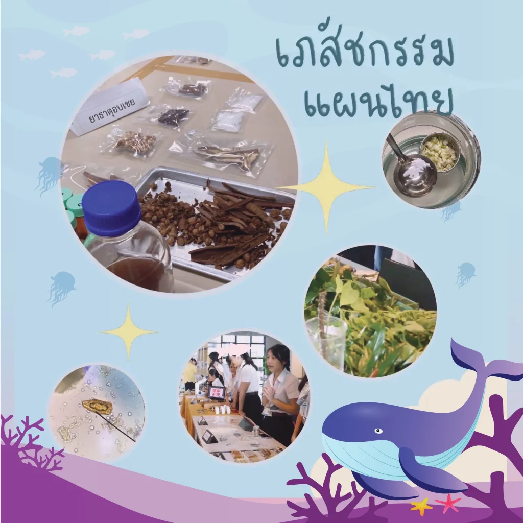 ฐานเภสัชกรรมแผนไทย   - มีการนำตัวอย่างสมุนไพรสด/สมุนไพรแห้งจากตำรับยาหลักแห่งชาติมาให้ศึกษา และมีการแสดงภาพจากการส่องกล้องจุลทรรศน์ในการหาส่วนประกอบภายในผงยามาให้ศึกษา - ชิมน้ำสมุนไพร - สาธิต/แสดงอุปกรณ์วิธีการทำยาลูกกลอน ยาเม็ดพิมพ์ และยาบรรจุในแคปซูล