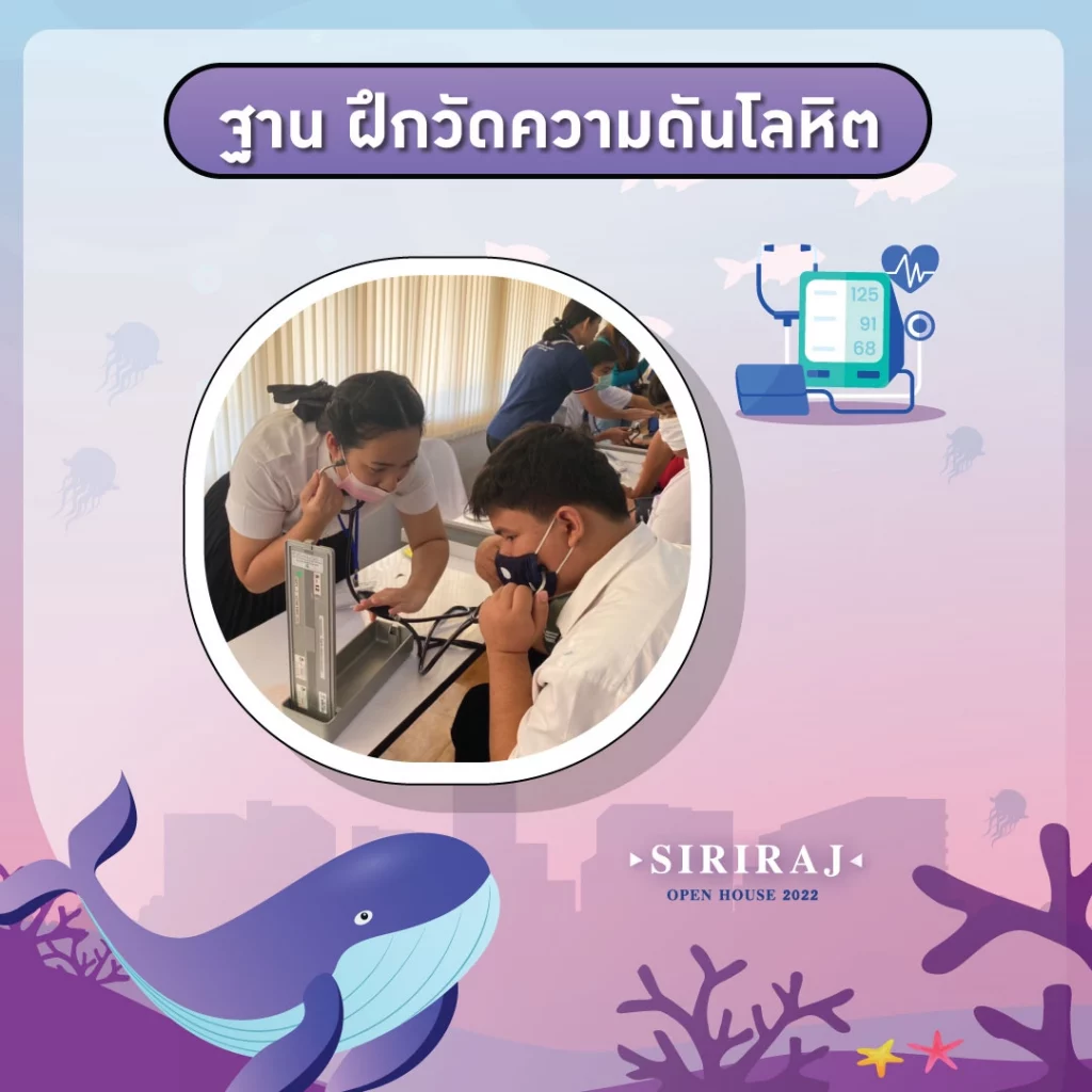 SIPN_02_result