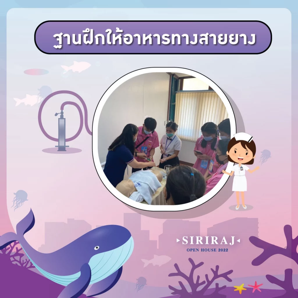 SIPN_03_result